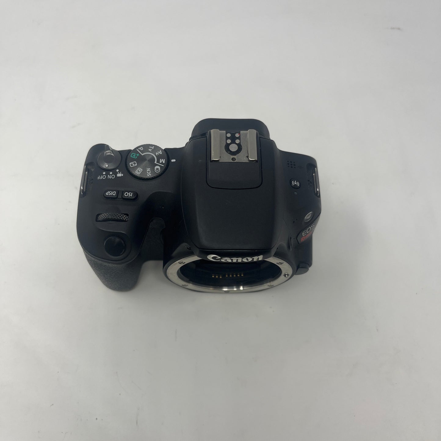 Canon EOS Rebel SL2 24.2MP Digital SLR