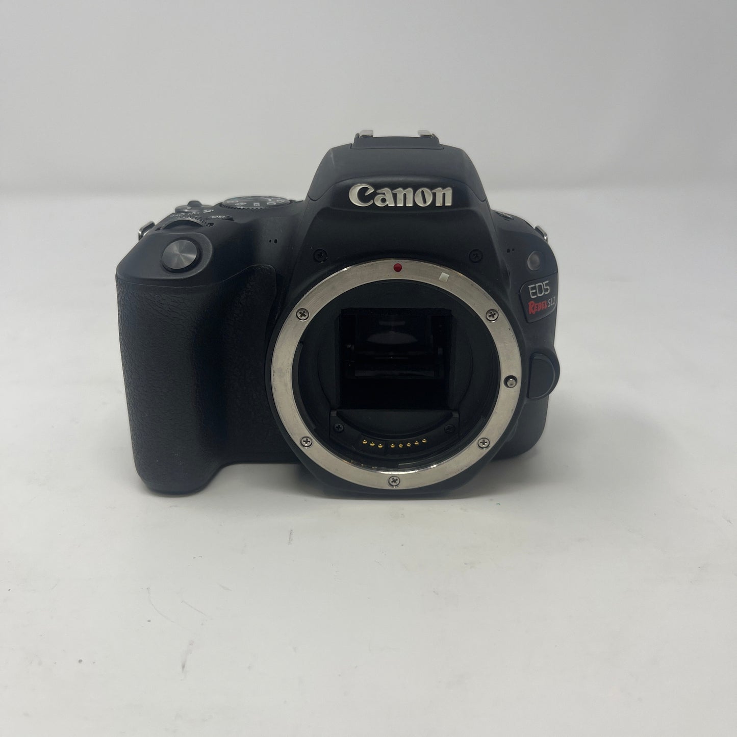Canon EOS Rebel SL2 24.2MP Digital SLR